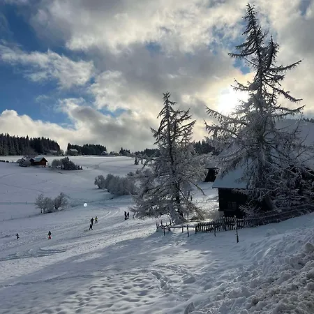 Weiherhaus Orchidee Schönwalde