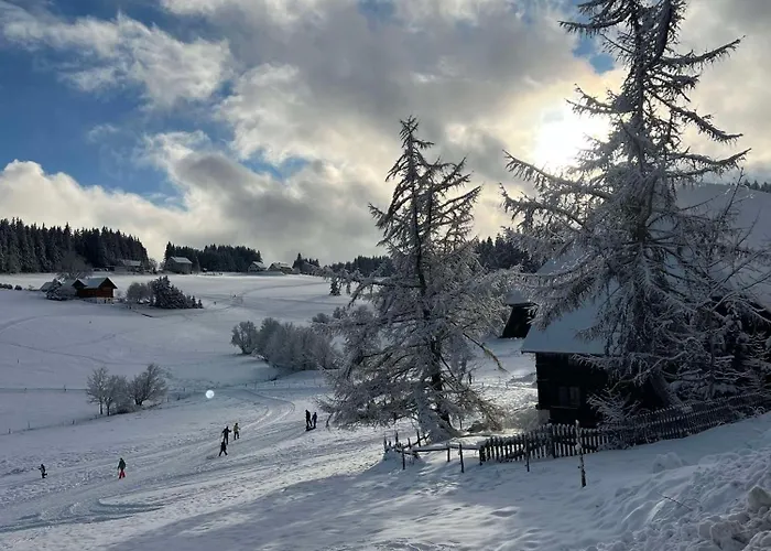 Weiherhaus Orchidee Schönwalde